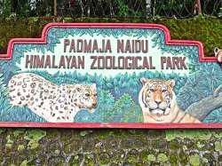 <h3>The Entrance of the Padmaja Naidu Himalayan Zoological Park (Darjeeling Zoo)</h3>
